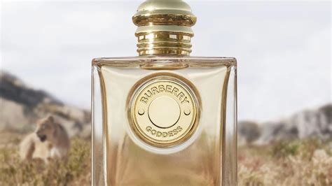 We Tried Burberry Goddess Eau De Parfum & It's Not 